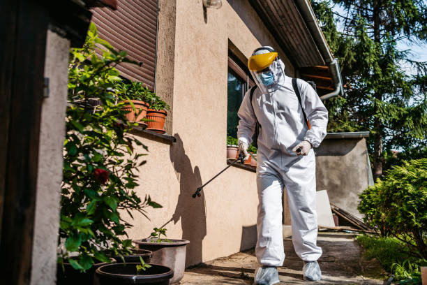 Best Best Pest Control Companies  in Pewee Valley, KY