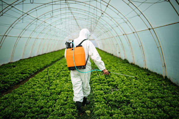 Best Best Pest Control Companies  in Pewee Valley, KY