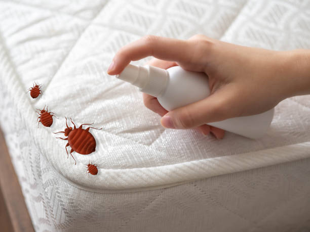 Flea Control Services in Pewee Valley, KY