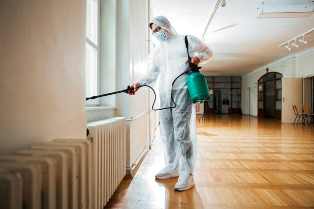 Best Flea Control Services  in Pewee Valley, KY