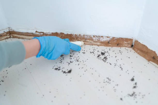 Best Pest Removal Services  in Pewee Valley, KY
